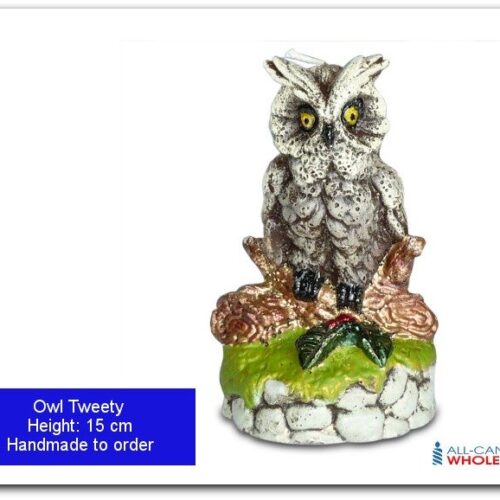 Owl Tweety featured