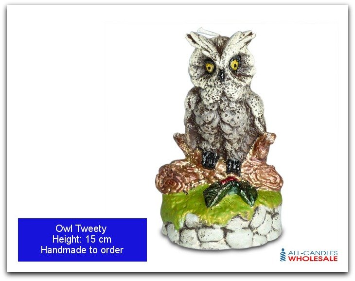 Owl Tweety featured