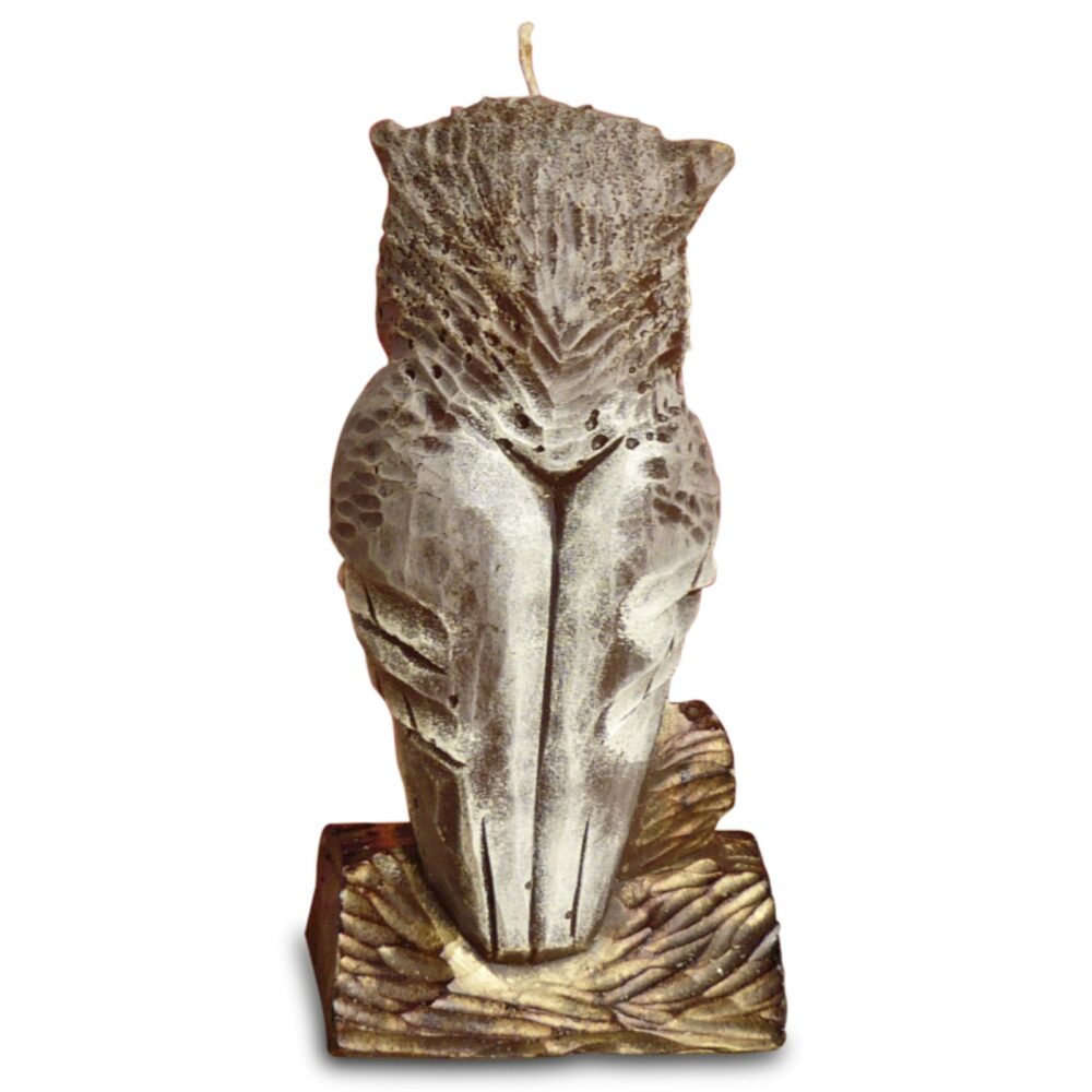Shaped Candles-Owl-Buddy