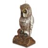 Shaped Candles-Owl-Buddy