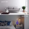 humidifier,